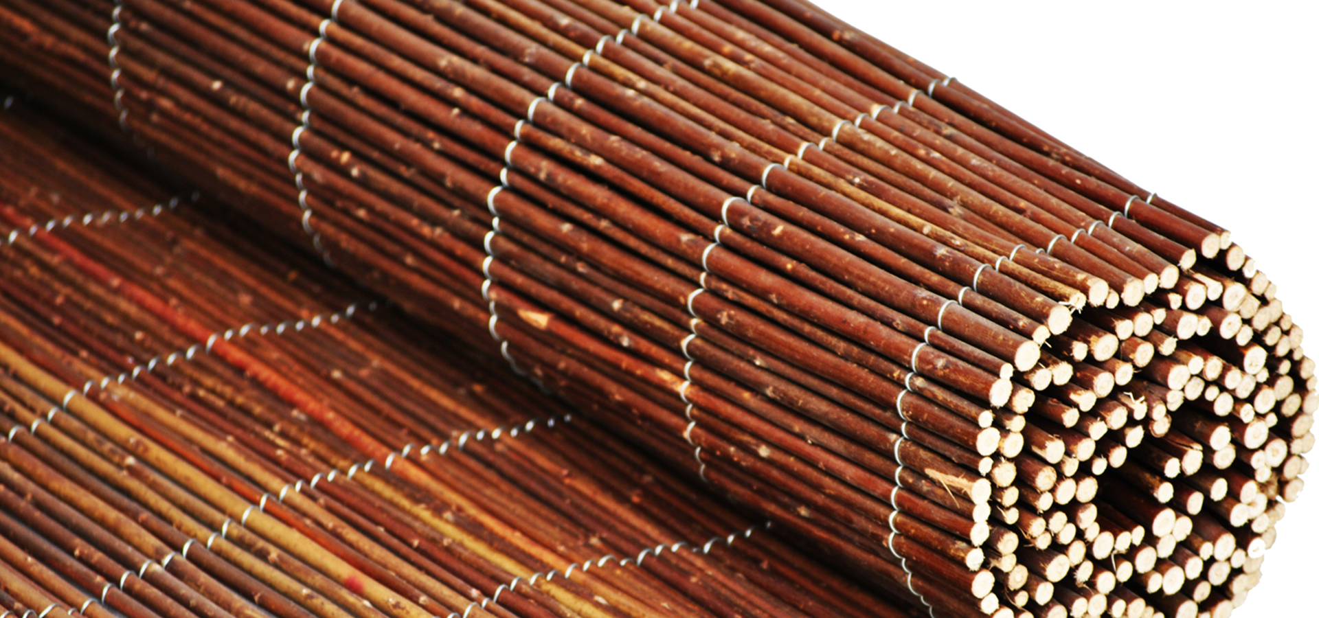 mata wiklina norweska